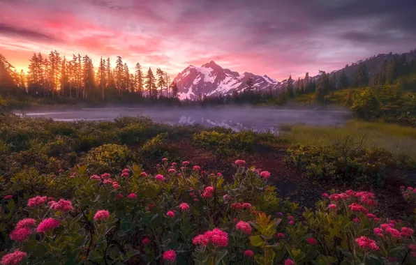 Picture flowers, mountains, lake