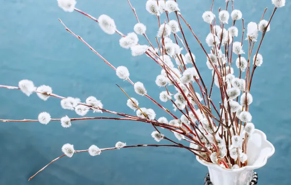 Picture branches, sprig, tenderness, bouquet, spring, vase, pussy, flowering