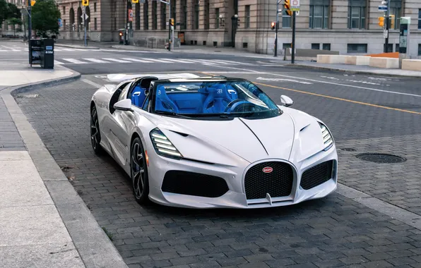 Picture Roadster, Bugatti, Toronto, Mistral, W16