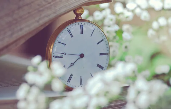 Picture macro, flowers, watch, blur, book, white, page, pocket