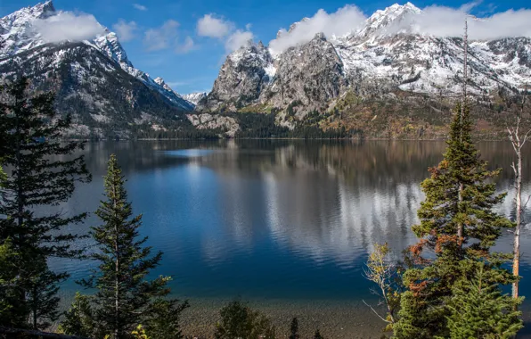 Picture trees, mountains, lake, Wyoming, Wyoming, Grand Teton National Park, Rocky mountains, Rocky Mountains