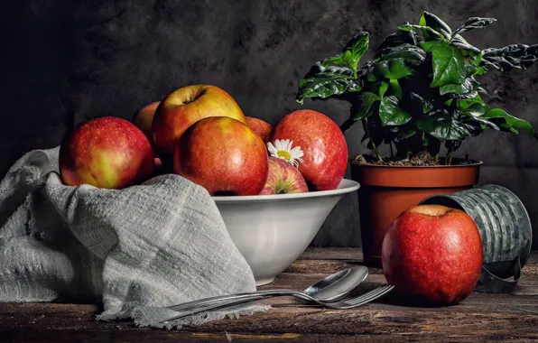 Leaves, table, apples, Board, plant, towel, spoon, red