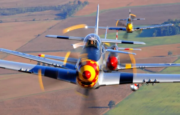 Picture group, flight, P-51 Mustangs