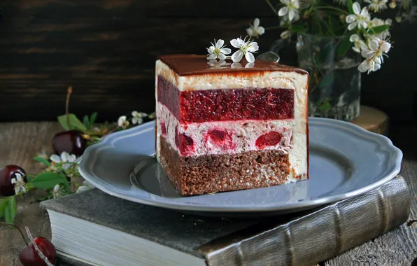 Picture branches, cherry, cake, book, layer