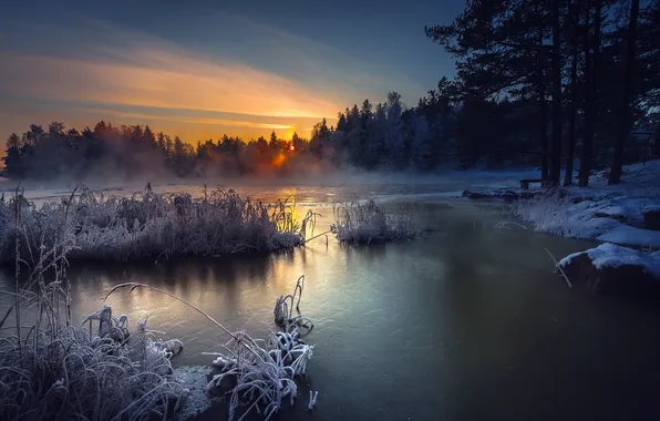 Picture winter, night, lake