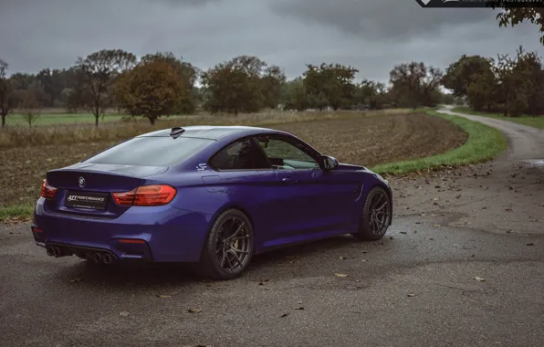 Picture Purple, Bmw, Tuning, F82