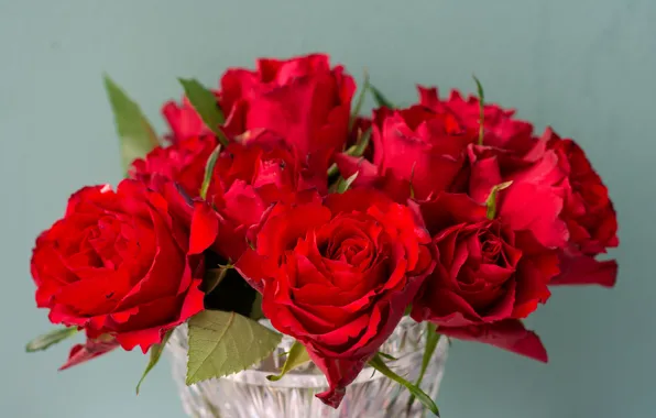 Wallpaper red, flowers, vase, bouquet, bright, background, roses