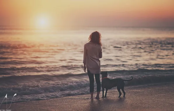 Picture water, girl, sunset, lake, dog, the evening