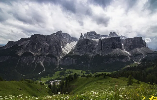 Forest, summer, the sky, clouds, flowers, mountains, the slopes, tops
