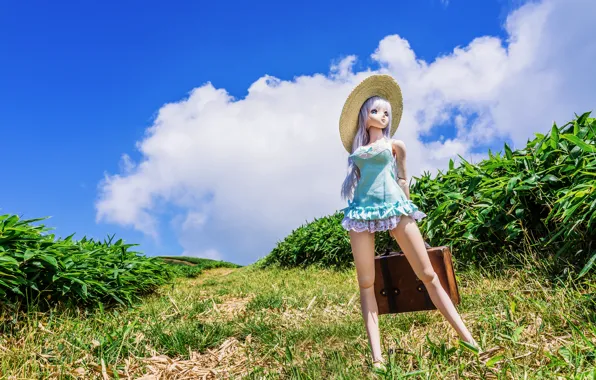 Field, nature, toy, doll