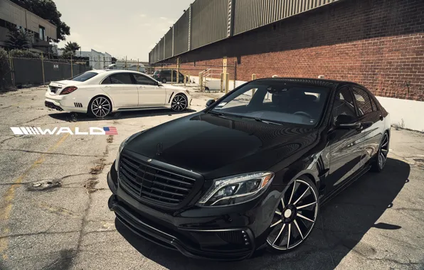 TUNING, WALD, MERCEDES, BENZ, BLACK BISON, W222, S-CLASS