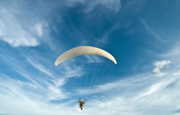 Picture photo, The sky, Sport, Parachuting, skydiving