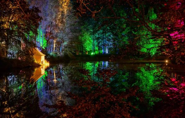 Trees, night, lights, pond, Park, house