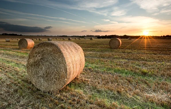 Picture field, landscape, sunset, hay