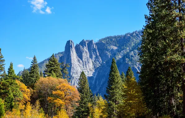 Autumn, forest, the sky, the sun, trees, mountains, rocks, blue