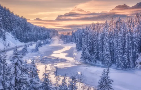 Winter, forest, mountains, river, Canada, Albert, Banff National Park, Alberta