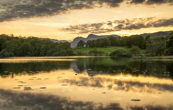 Picture forest, summer, the sky, leaves, clouds, trees, sunset, mountains
