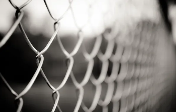 Picture photo, mesh, Wallpaper, the fence, the fence, picture, different, h b