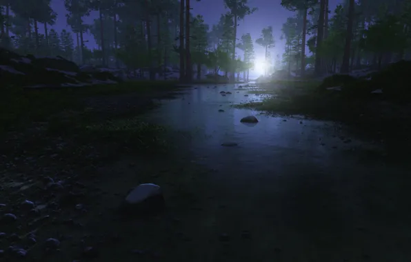 Picture forest, the sky, grass, water, night, river, stones, boulder creek
