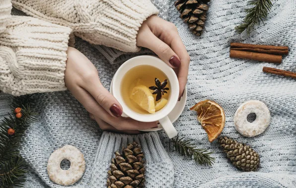 Picture lemon, tea, new year, hands, cookies, Cup, needles, bumps