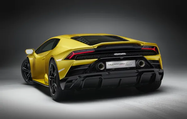 Picture Lamborghini, rear view, Huracan, 2020, RWD, Huracan EVO
