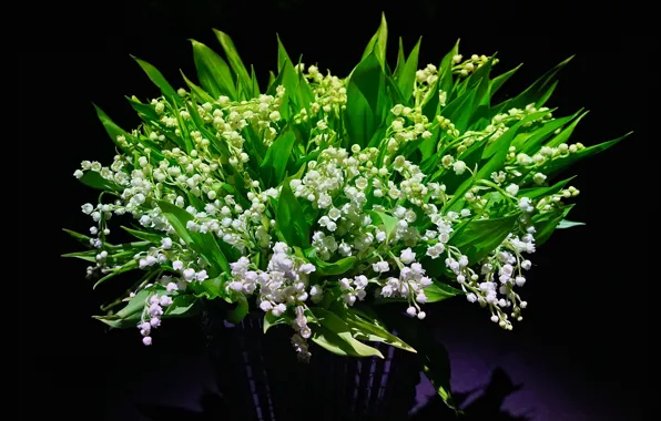 Picture flowers, bouquet, white, black background, lilies of the valley