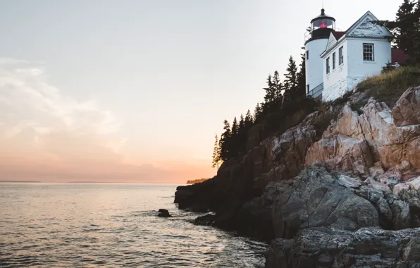 Sea, Open, Rocks, Lighthouse, Forest, Landscape