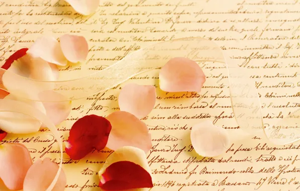 Letter, macro, rose, petals, tape, parchment, writing