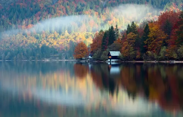 Autumn, forest, reflection, lake, house, Slovenia, October