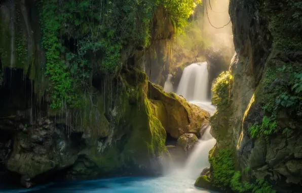 Picture light, stones, rocks, vegetation, waterfall, stream