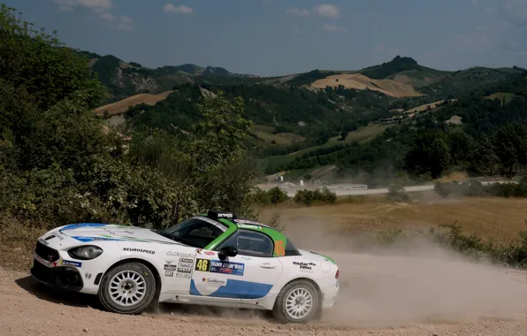 Dust, rally, 2018, the ground, Abarth, 124 Rally