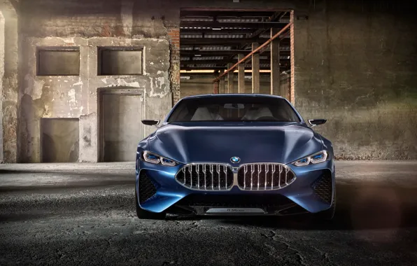 Picture car, BMW, logo, BMW 8 Series