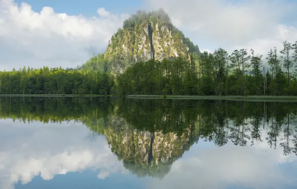 Forest, clouds, trees, mountains, lake, reflection, rocks, shore