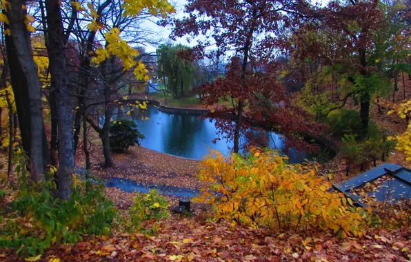 Autumn, Trees, Pond, Nature, Fall, Foliage, Autumn, Colors