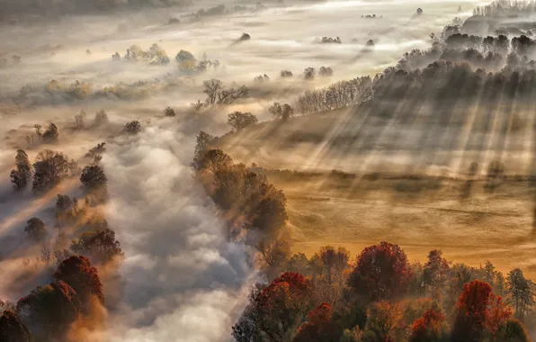 Autumn, rays, light, fog, river, pair