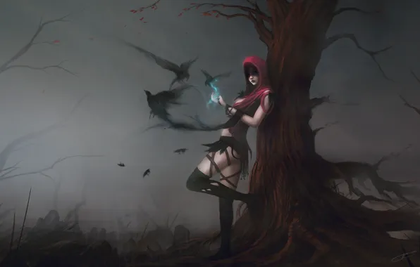 Picture girl, birds, fog, tree, magic, art, hood, crows