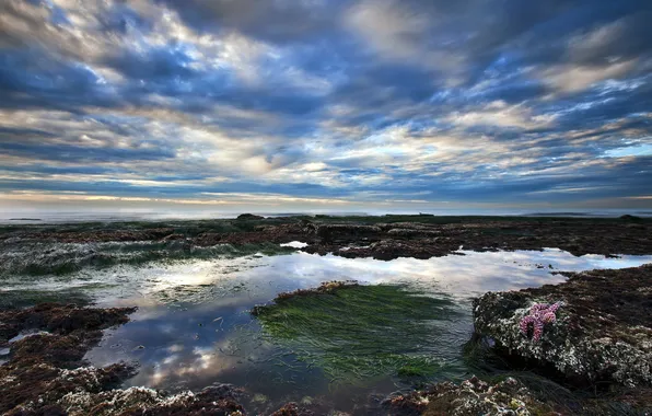Sea, landscape, shore