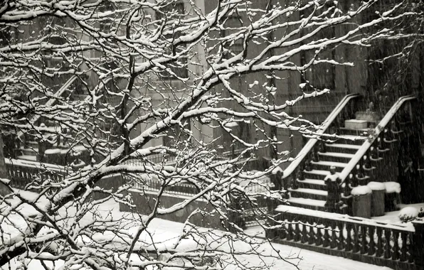 Winter, snow, branches, the fence, home, ladder
