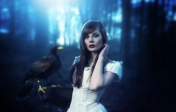 Forest, look, girl, night, face, fog, style, bird