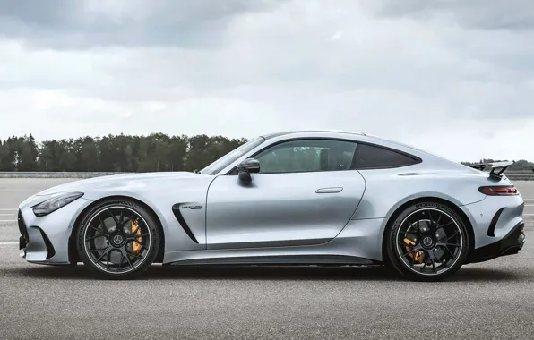 Picture Mercedes, side view, AMG, exterior, Mercedes-AMG GT, 2023