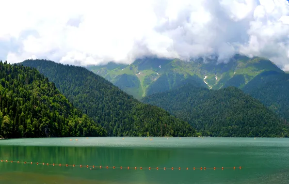 Picture summer, landscape, mountains, lake, stay, Abkhazia, Riza