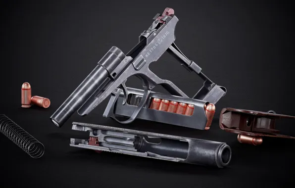 USSR, The Makarov Pistol, Self-loading pistol, Disassembly, Ivan Iliskov
