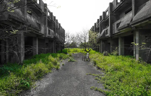 Picture greens, the city, street, home, abandoned