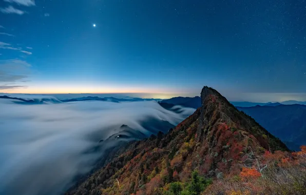 Picture autumn, forest, stars, mountains, night, rocks