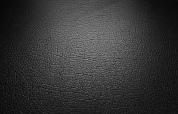Picture background, texture, leather, black, black, texture, background, leather