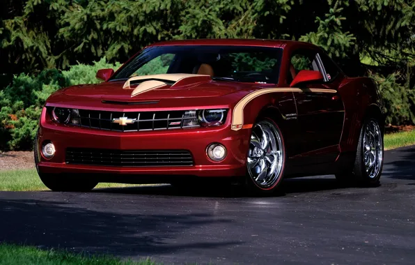 Chevrolet, Camaro, Super, Nickey