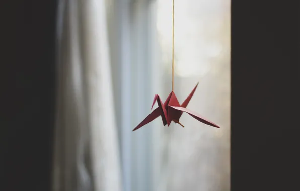Red, origami, crane