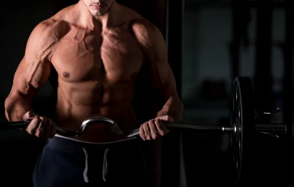 Pose, muscle, muscle, rod, press, bodybuilder, abs, bodybuilder
