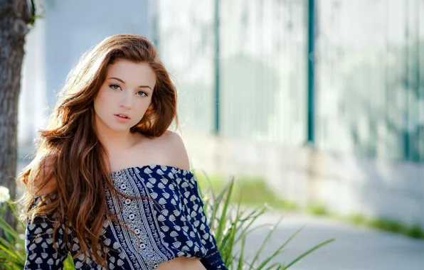 Picture look, face, brown hair, rose