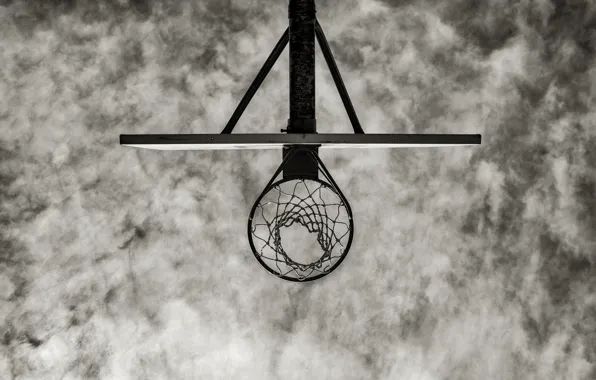 Ring, shield, basketball